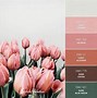 Image result for Pallor Color
