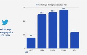 Image result for What Is the Age Demographic for Twitter
