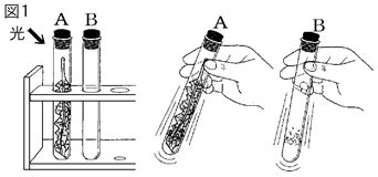 Image result for Environment Testing Lab