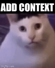 Image result for Winning Cat Meme