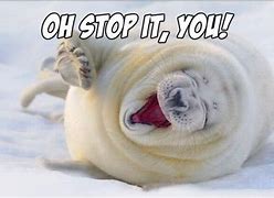 Image result for Stop It Meme
