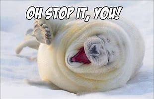 Image result for Hey Stop It Meme