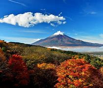Image result for Monte Fuji