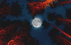 Image result for Dark Forest with Moon Wallpaper 4K