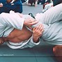 Image result for brazil jiu jitsu martial art