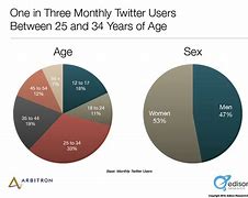 Image result for Twitter User Demographics