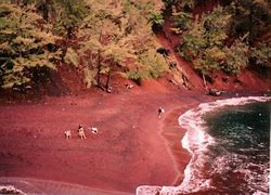 Image result for Taiwan Red Beaches