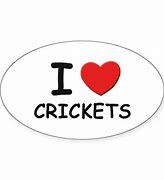 Image result for Cricket Love Heart
