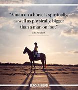 Image result for Horse Racing Cocktail Quotes
