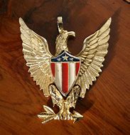 Image result for Eagle Medallion