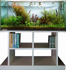 vasche aperte per acquari realizzazione di acquari su misura roma aquarium vasche aperte per acquari realizzazione di acquari su misura roma aquarium