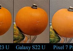 Image result for Samsung Galaxy S23 Camera Sample