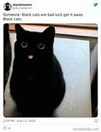 Image result for Dark Cat Memes