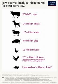 Image result for How Many Animals Are Killed Each Year
