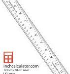 Image result for 7 Cm On Ruler