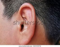 Image result for Ear Boy Photo