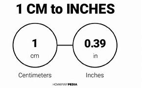 Image result for How Big Is 1 Cm in Inches