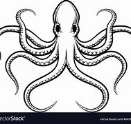 Image result for 2D Octopus
