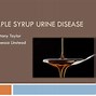 Image result for Maple Syrup Urine Disease