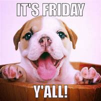 Image result for Almost Friday Dog Meme