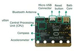 Image result for Micro Bit Back of It
