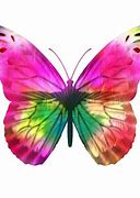Image result for Pink Butterfly