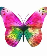 Image result for Pink Amazon Butterflies