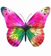 Image result for Bright Colorful Butterfly Background