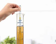 Image result for Specific Gravity of Food