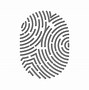 Image result for Fingerprint Types
