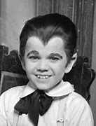 Image result for Eddie Munster Child Costume