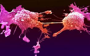 Image result for Tumor-Shrinking Drugs