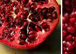 Image result for Different Taste Buds On Tongue