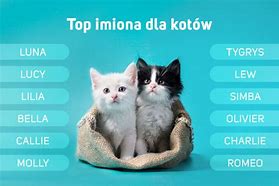 Image result for Imiona Dla Kotow