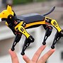 Image result for Pictures of How to Program a Robot Dog