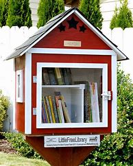 Image result for Little Library Boxes