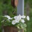 Image result for Old-Fashioned Outdoor Decorations