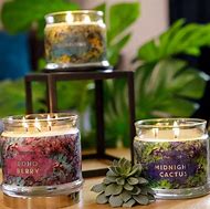 Image result for PartyLite Magnolia