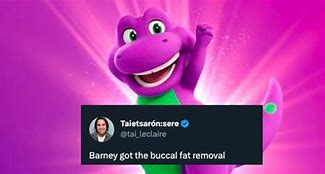 Image result for Meme Barnie