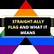Image result for What Does Straight Ally Mean