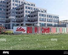 Image result for Eli Lilly Company Logo