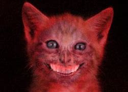 Image result for Creepy Smiling Cat Meme