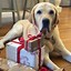 Image result for Unique Gift Wrapping Ideas