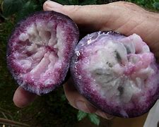 Image result for Hawaii Purple Apple