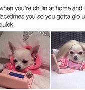 Image result for Rainbow Dog Meme