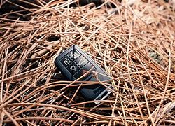 Image result for Lost Car Keys