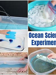 Image result for Ocean Science Experiment Preschool