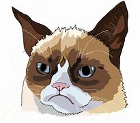 Image result for Easy to Draw Grumpy Cat
