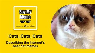 Image result for Animal Oh My Meme