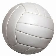 Image result for Volleyball